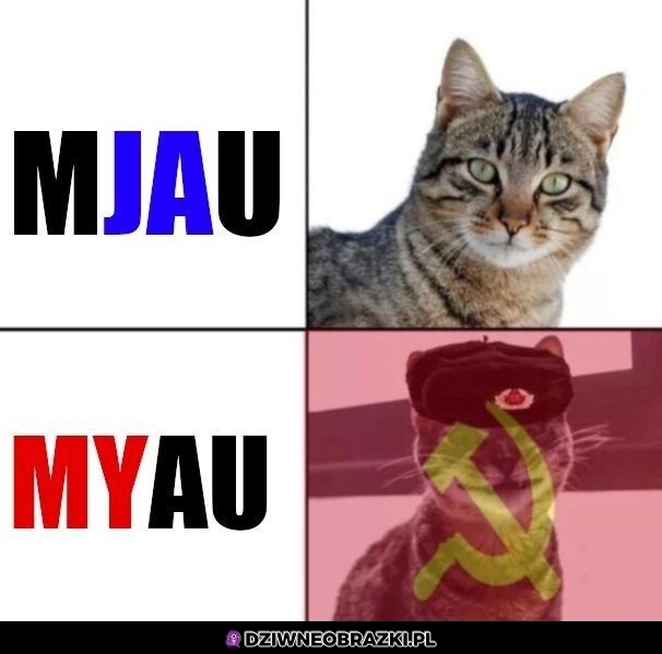 Miau