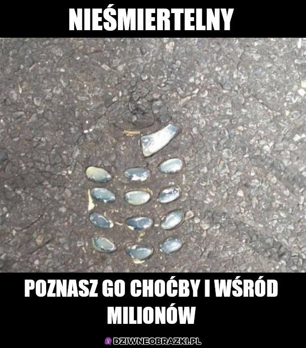 Nieśmiertelny