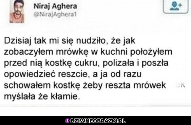 Kiedy bardzo się nudzisz