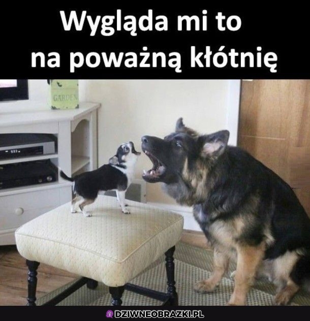 Poważna kłótnia