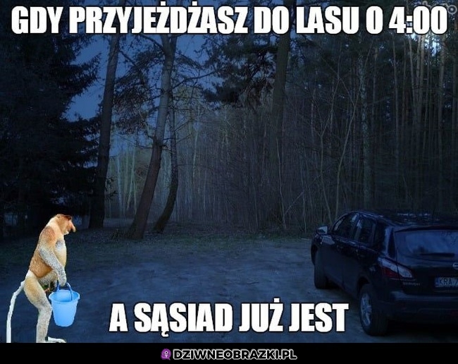 No nie