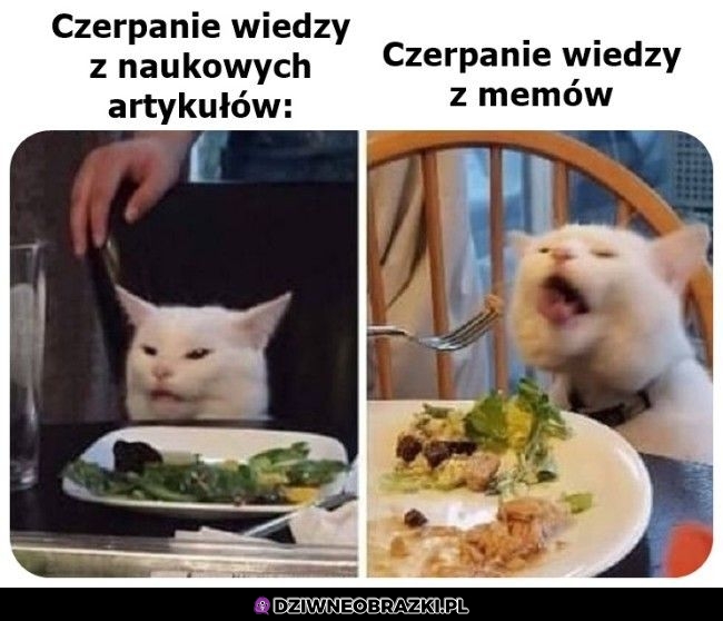 Stąd smaczniejsza