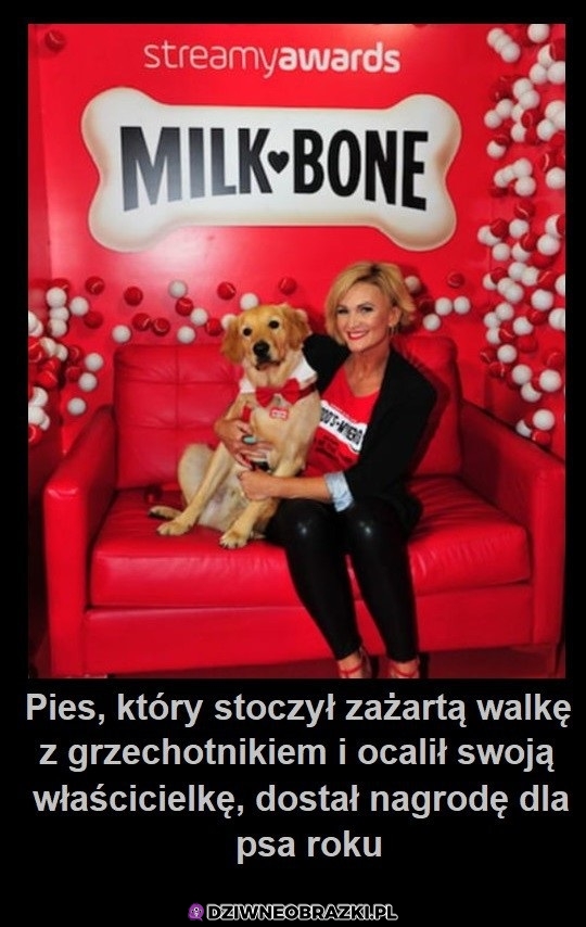 Zasłużył
