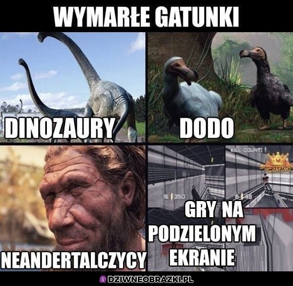 Wymarłe gatunki