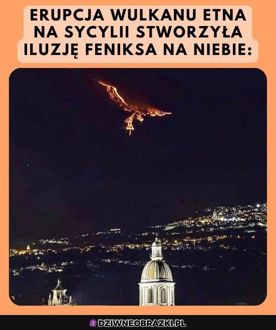 Feniks z popiołu!