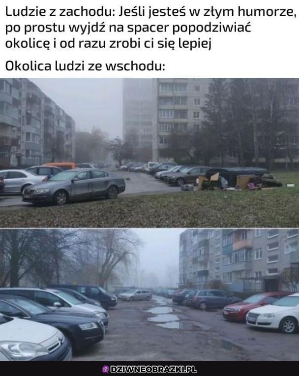 Super rada, dzięki