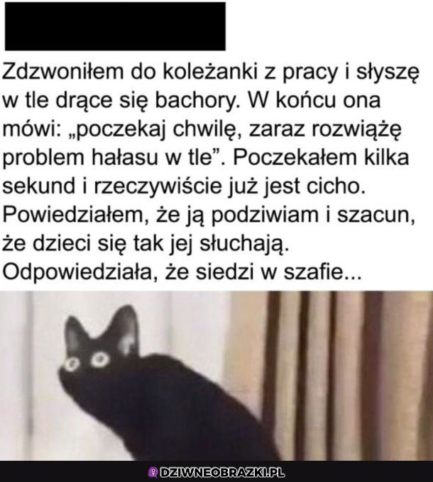 Każdy pomysł jest dobry