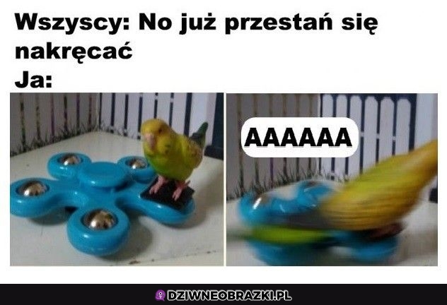 Nie przestanę