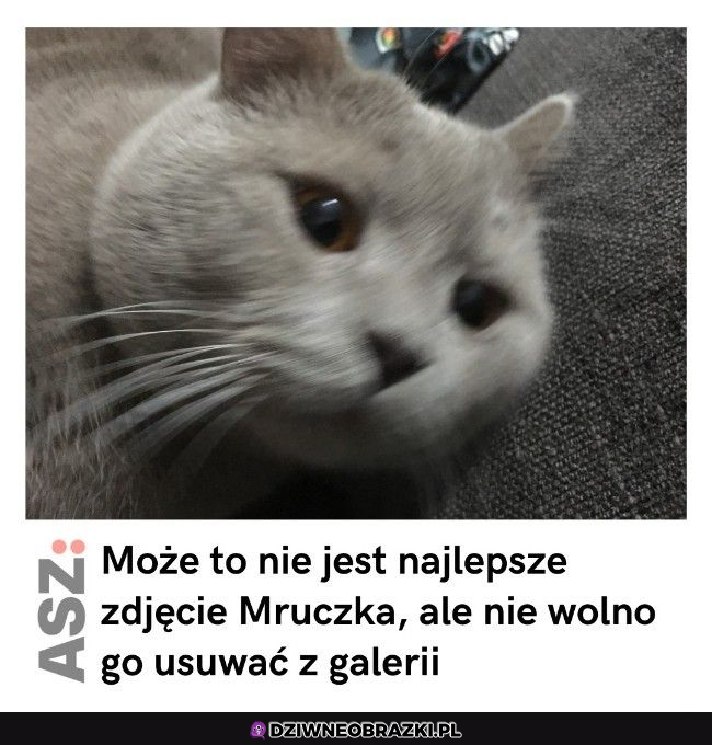 Jest piękne, jak i mruczek :D