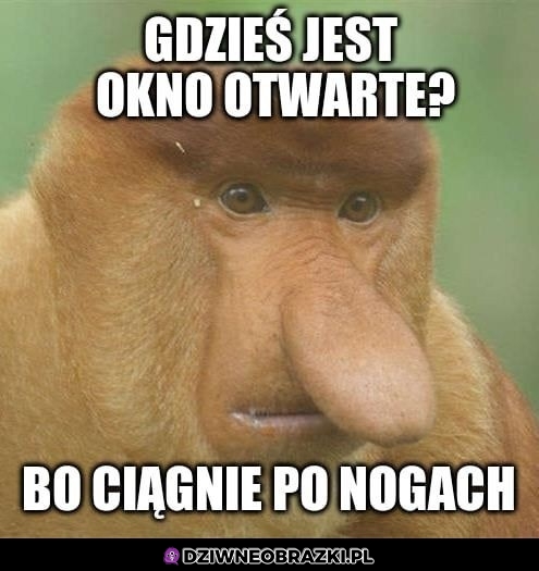Zimnem zaciąga