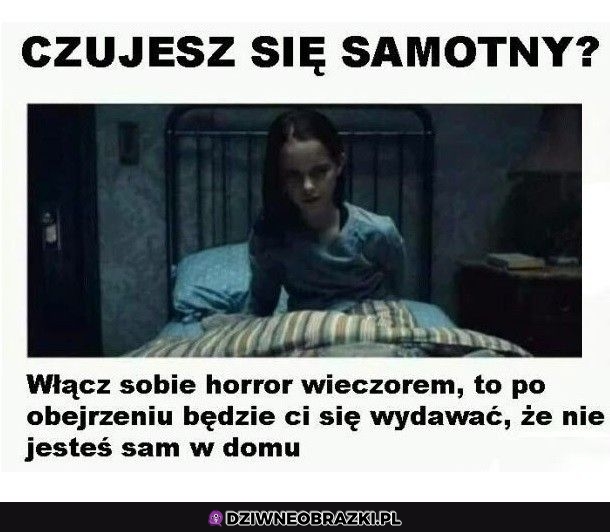 Sposób na samotność