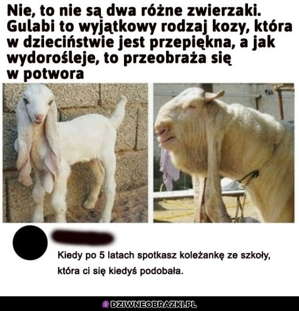 Dokładnie tak!