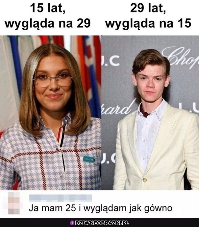 Wygląd