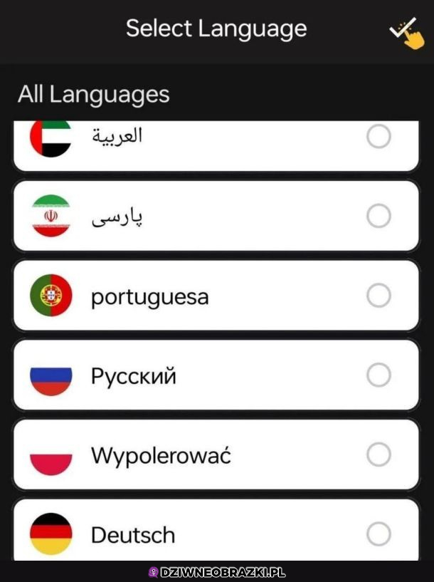 Tłumacz google