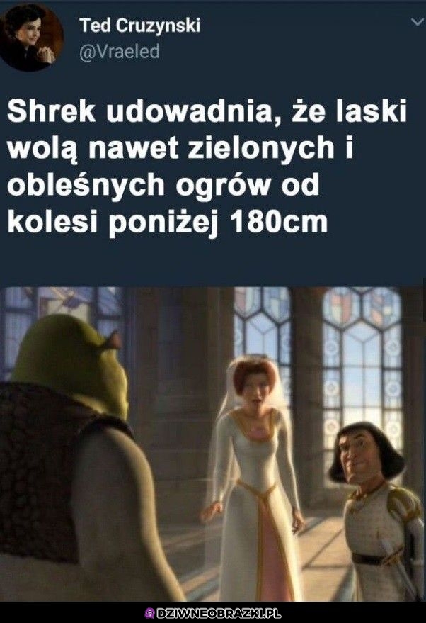Dowód ostateczny