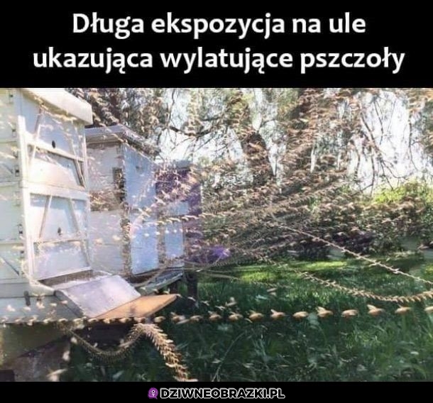 Fajne foto