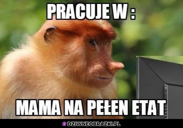 Grażyna