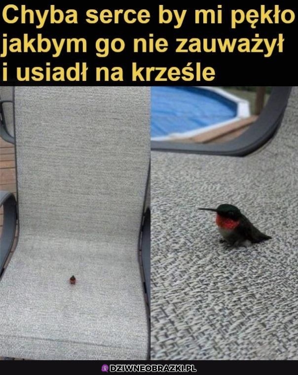 Ale słodziaczek