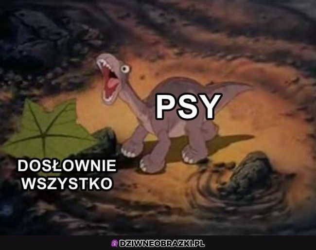 Dokładnie tak mają