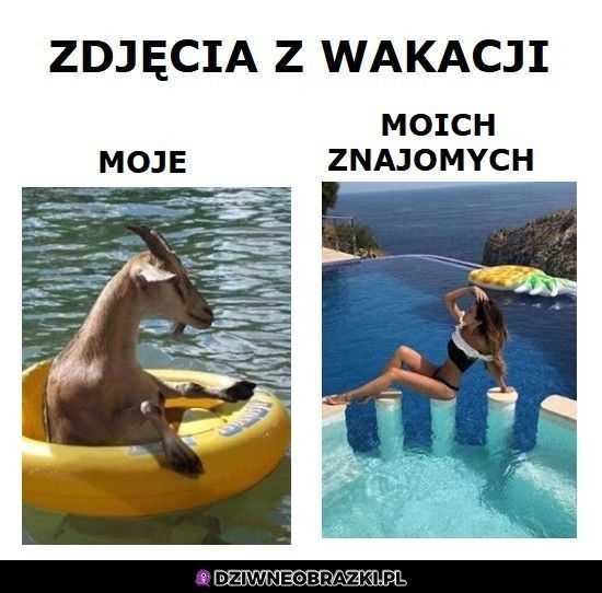 Zdjęcia z wakacji