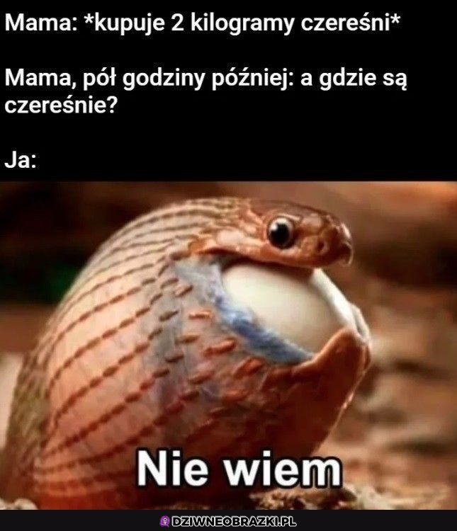 Czereśnie to zycie 