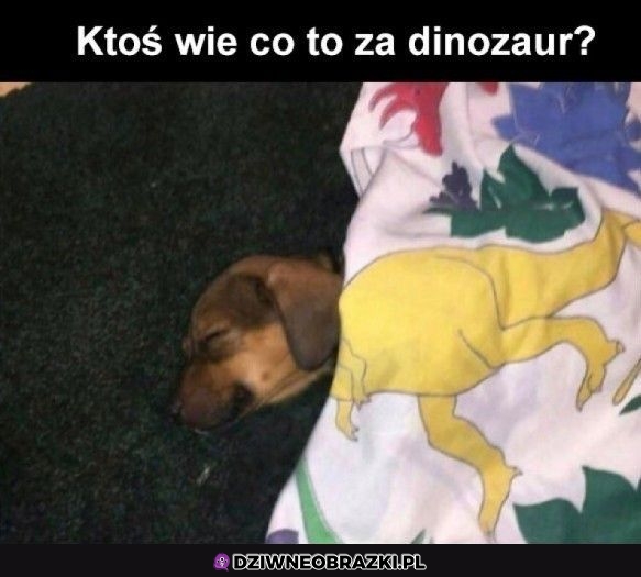 Piesosaur