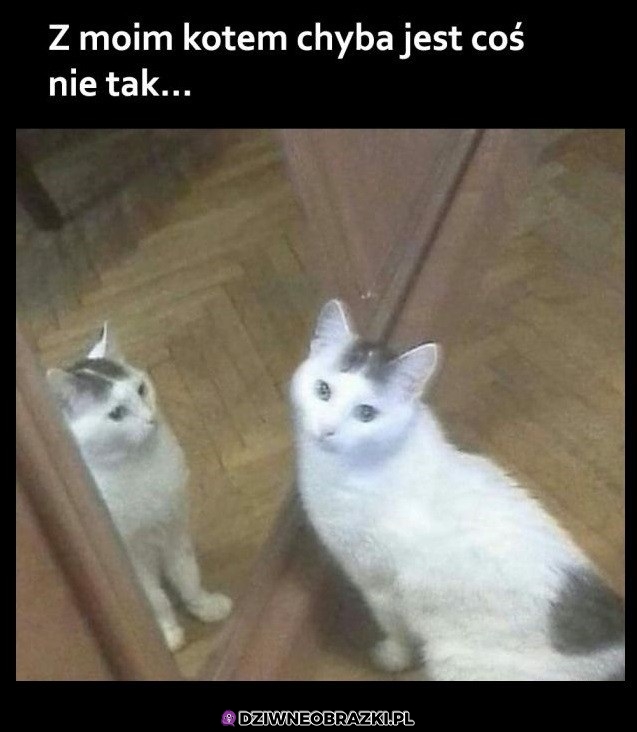 Hmm