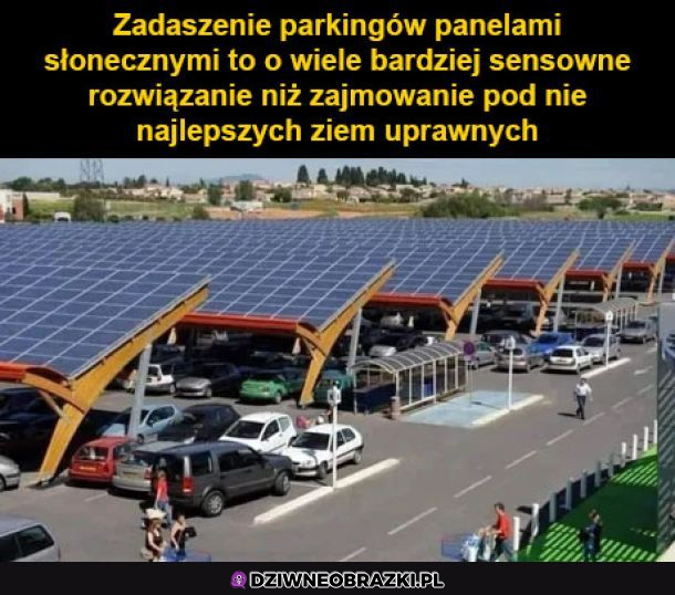 Prawda!