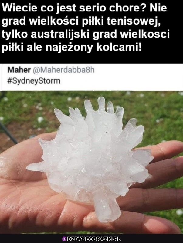 Typowu autralijski grad