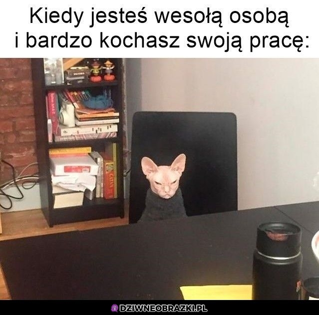 Tak własnie w niej wyglądam