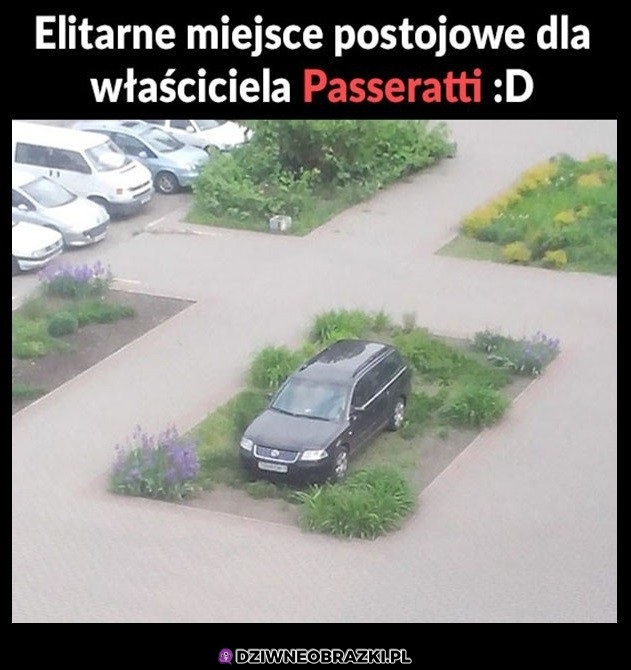 Miejsce dla Passeratti
