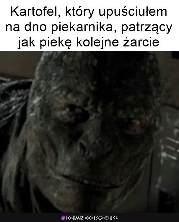 Taki jego wygląd