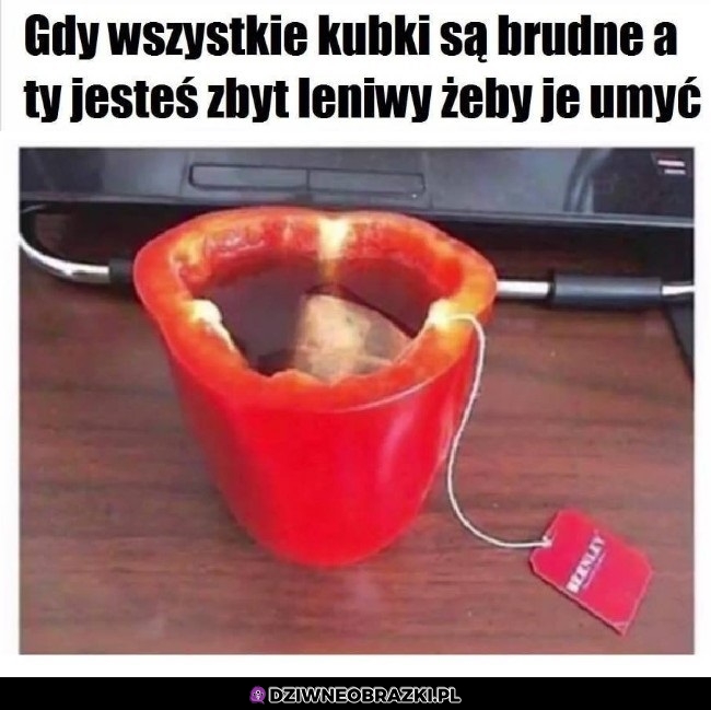 Lenistwo