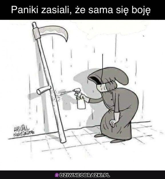 Przezornie