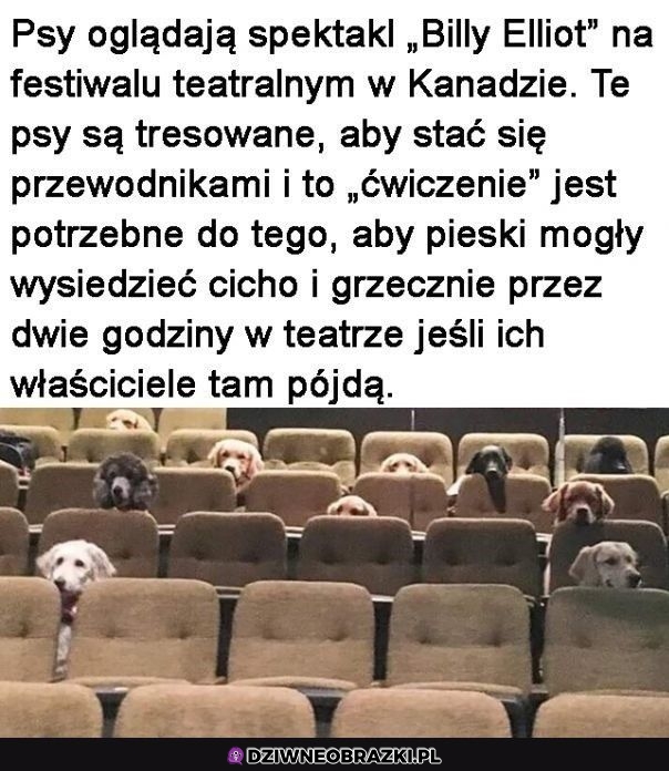 Najlepsze trening