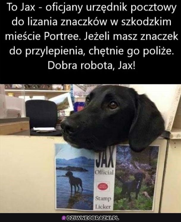 Najlepszy pracownik