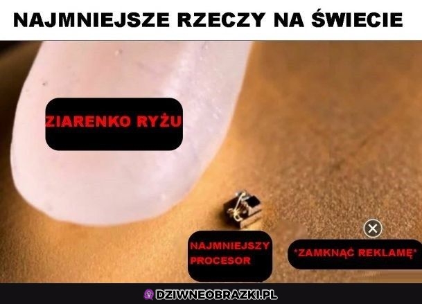 Najmniejsze