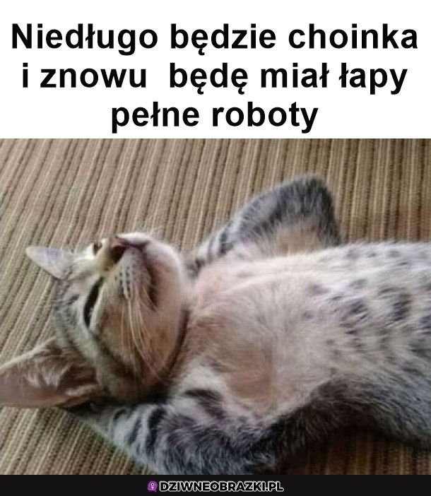 Ale to będzie