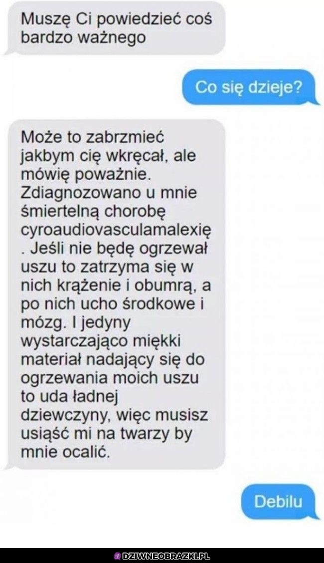 To absolutnie nie jest wkręt!