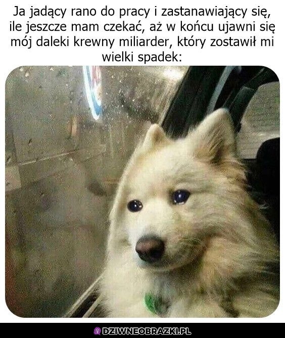 Ileż można