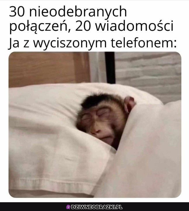 kiedy masz wyciszony xd