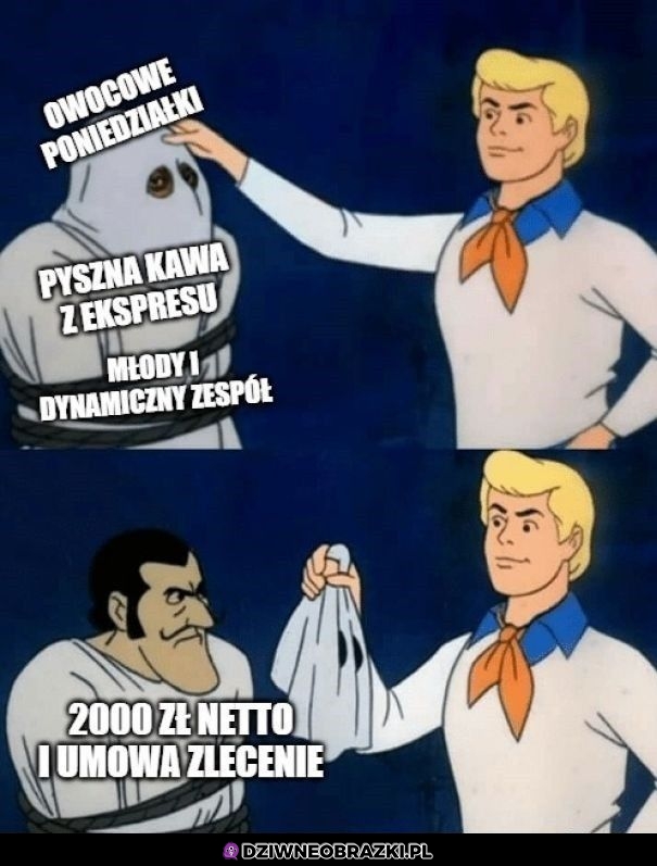 Oferty pracy takie są