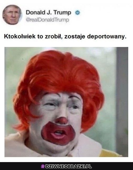 Dałbym mu azyl