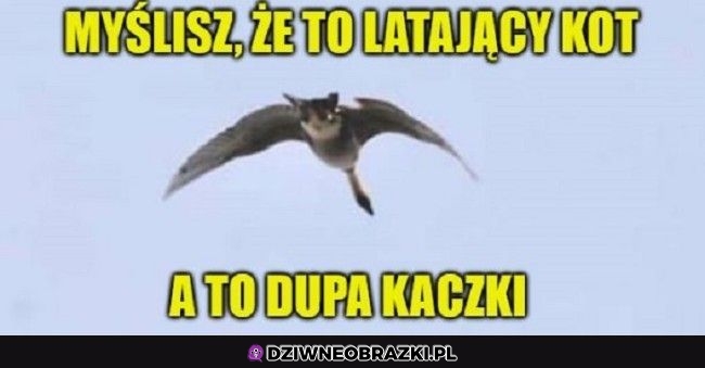 Można się pomylić