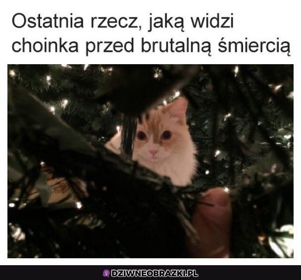 Ostatni moment