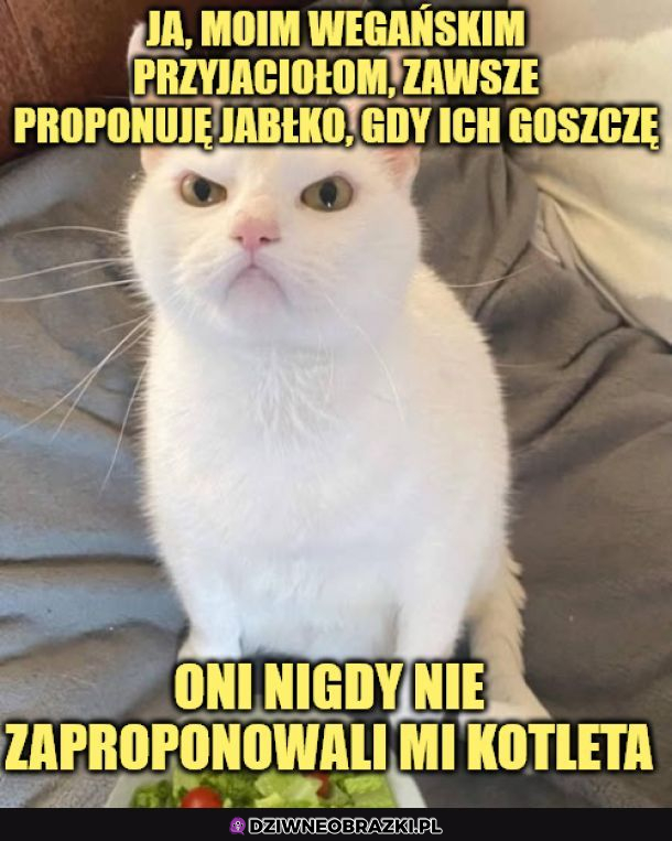 Jestem gościnny