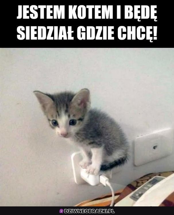 Siedzę to siedze