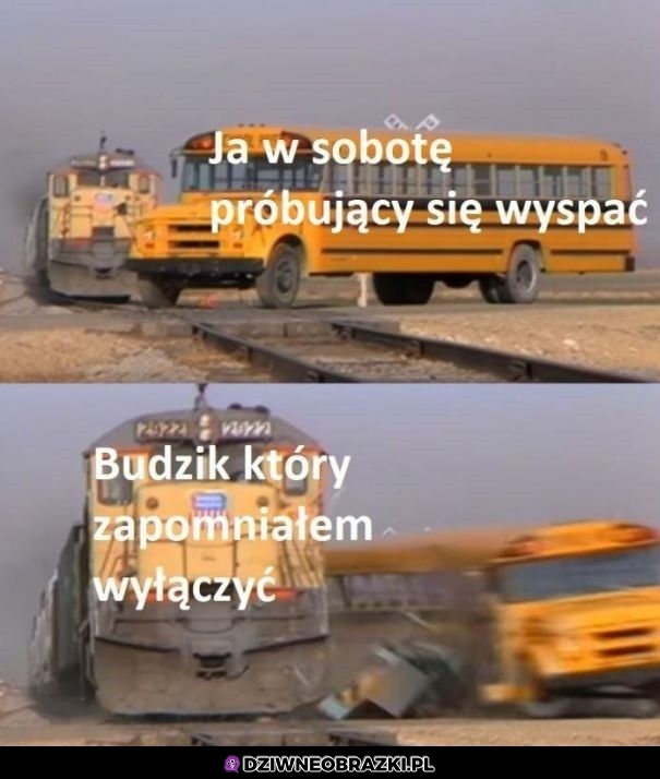 Dzień dobry