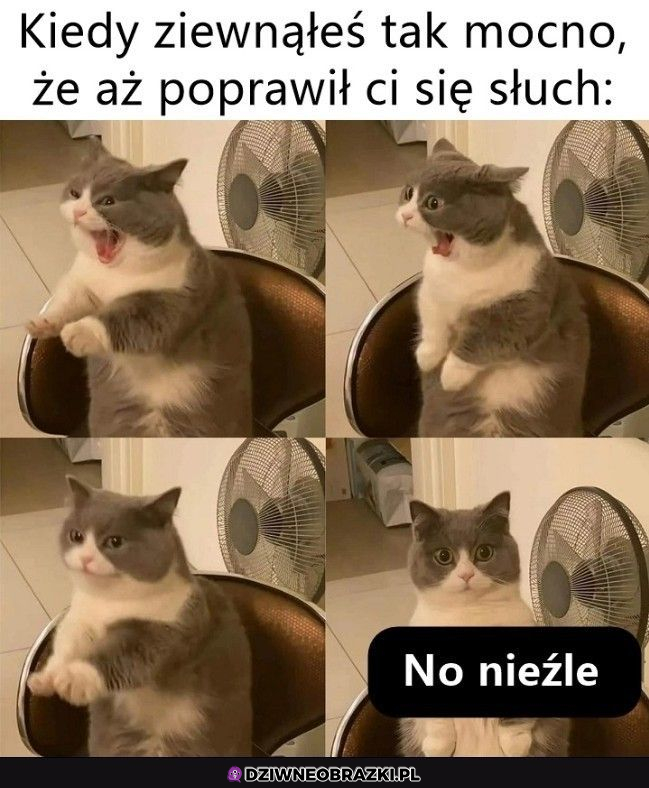 Kiedy ziewniesz tak, że lepiej  słyszysz