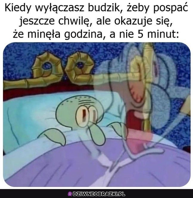 Tak się smacznie spało